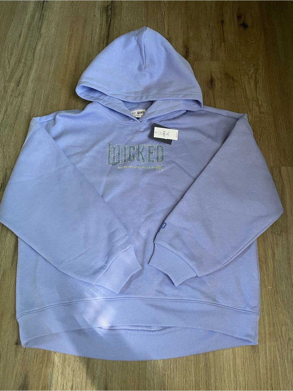 Gap wicked hoodie